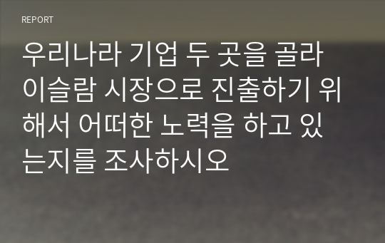 우리나라 기업 두 곳을 골라 이슬람 시장으로 진출하기 위해서 어떠한 노력을 하고 있는지를 조사하시오