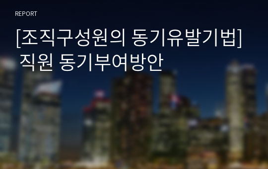 [조직구성원의 동기유발기법] 직원 동기부여방안