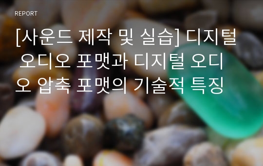 [사운드 제작 및 실습] 디지털 오디오 포맷과 디지털 오디오 압축 포맷의 기술적 특징