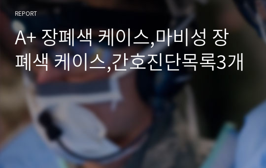 A+ 장폐색 케이스,마비성 장폐색 케이스,간호진단목록3개