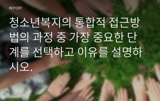 청소년복지의 통합적 접근방법의 과정 중 가장 중요한 단계를 선택하고 이유를 설명하시오.