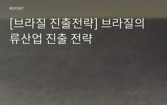 [브라질 진출전략] 브라질의류산업 진출 전략