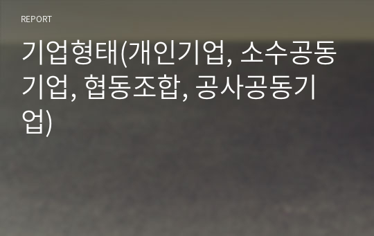 기업형태(개인기업, 소수공동기업, 협동조합, 공사공동기업)