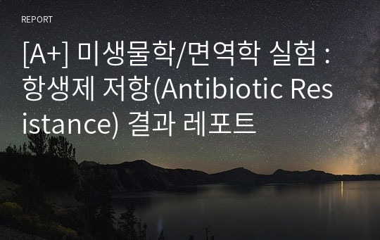 [A+] 미생물학/면역학 실험 : 항생제 저항(Antibiotic Resistance) 결과 레포트