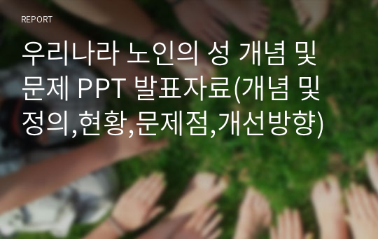 우리나라 노인의 성 개념 및 문제 PPT 발표자료(개념 및 정의,현황,문제점,개선방향)