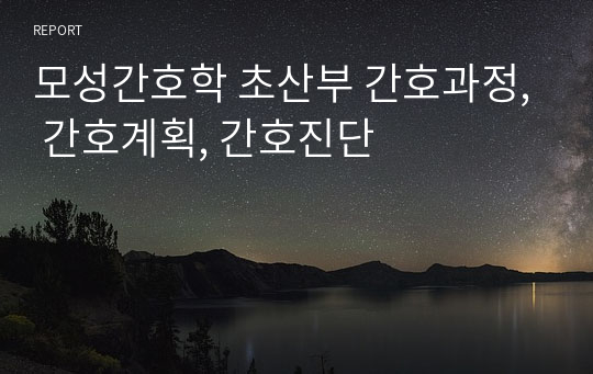 모성간호학 초산부 간호과정, 간호계획, 간호진단