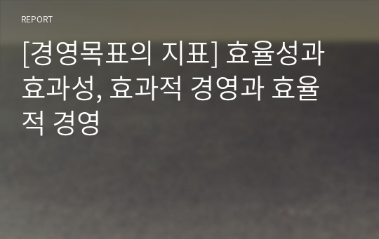 [경영목표의 지표] 효율성과 효과성, 효과적 경영과 효율적 경영