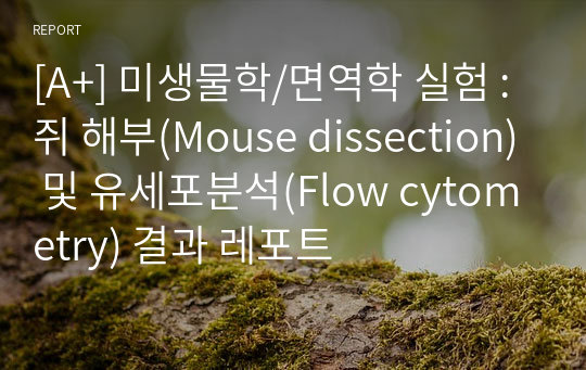 [A+] 미생물학/면역학 실험 : 쥐 해부(Mouse dissection) 및 유세포분석(Flow cytometry) 결과 레포트
