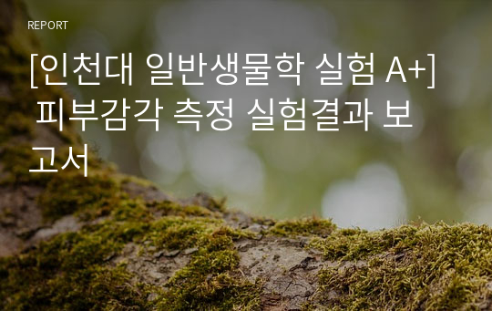 [인천대 일반생물학 실험 A+] 피부감각 측정 실험결과 보고서