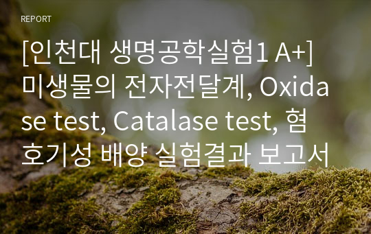 [인천대 생명공학실험1 A+] 미생물의 전자전달계, Oxidase test, Catalase test, 혐호기성 배양 실험결과 보고서