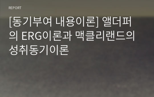 [동기부여 내용이론] 앨더퍼의 ERG이론과 맥클리랜드의 성취동기이론