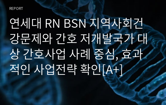 연세대 RN BSN 지역사회건강문제와 간호 저개발국가 대상 간호사업 사례 중심, 효과적인 사업전략 확인[A+]