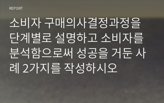 소비자 구매의사결정과정을 단계별로 설명하고 소비자를 분석함으로써 성공을 거둔 사례 2가지를 작성하시오