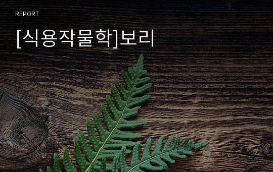 [식용작물학]보리