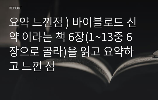 요약 느낀점 ) 바이블로드 신약 이라는 책 6장(1~13중 6장으로 골라)을 읽고 요약하고 느낀 점