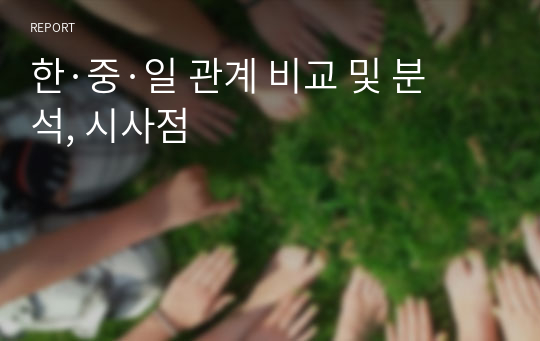 한·중·일 관계 비교 및 분석, 시사점