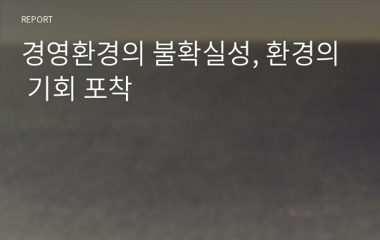 경영환경의 불확실성, 환경의 기회 포착