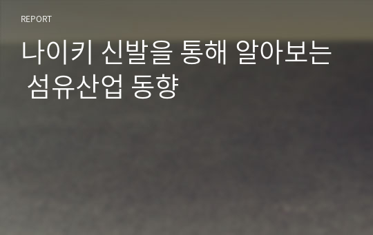 나이키 신발을 통해 알아보는 섬유산업 동향