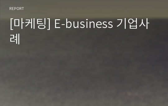 [마케팅] E-business 기업사례