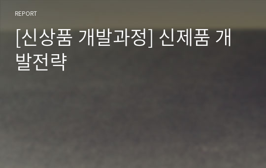 [신상품 개발과정] 신제품 개발전략