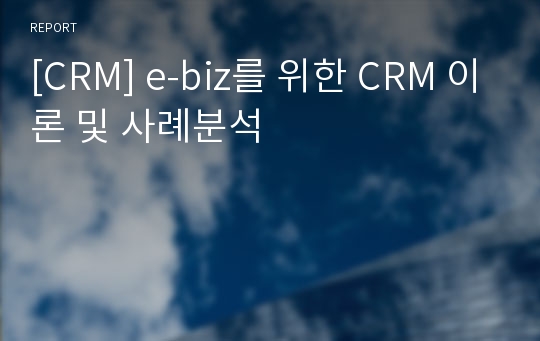 [CRM] e-biz를 위한 CRM 이론 및 사례분석