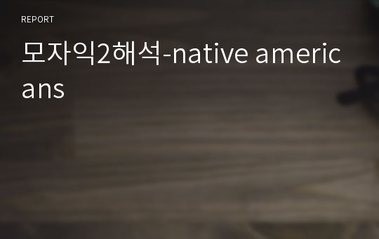 모자익2해석-native americans