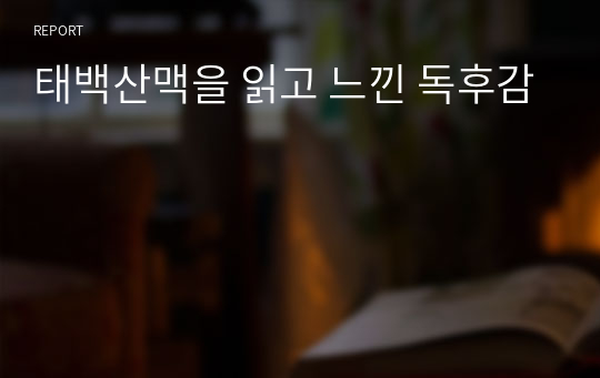 태백산맥을 읽고 느낀 독후감