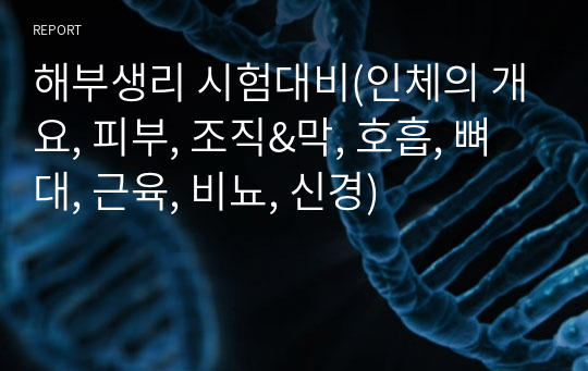 해부생리 시험대비(인체의 개요, 피부, 조직&amp;막, 호흡, 뼈대, 근육, 비뇨, 신경)