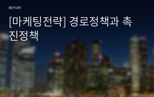 [마케팅전략] 경로정책과 촉진정책