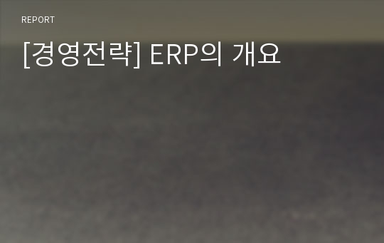 [경영전략] ERP의 개요