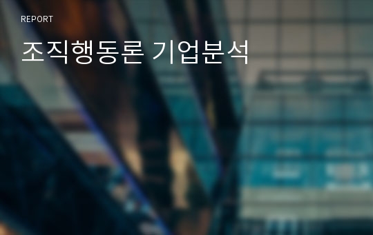 조직행동론 기업분석