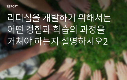 리더십을 개발하기 위해서는 어떤 경험과 학습의 과정을 거쳐야 하는지 설명하시오2