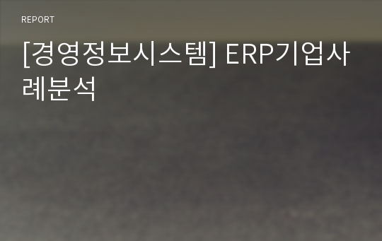 [경영정보시스템] ERP기업사례분석