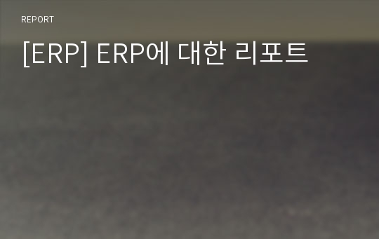 [ERP] ERP에 대한 리포트