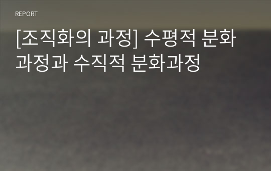 [조직화의 과정] 수평적 분화과정과 수직적 분화과정