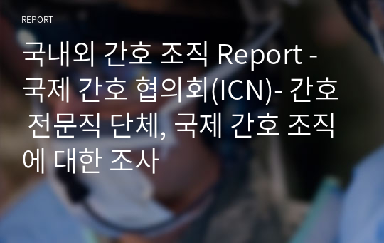 국내외 간호 조직 Report -국제 간호 협의회(ICN)- 간호 전문직 단체, 국제 간호 조직에 대한 조사