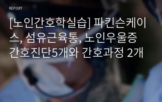 [노인간호학실습] 파킨슨케이스, 섬유근육통, 노인우울증 간호진단5개와 간호과정 2개