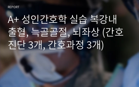 A+ 성인간호학 실습 복강내 출혈, 늑골골절, 뇌좌상 (간호진단 3개, 간호과정 3개)