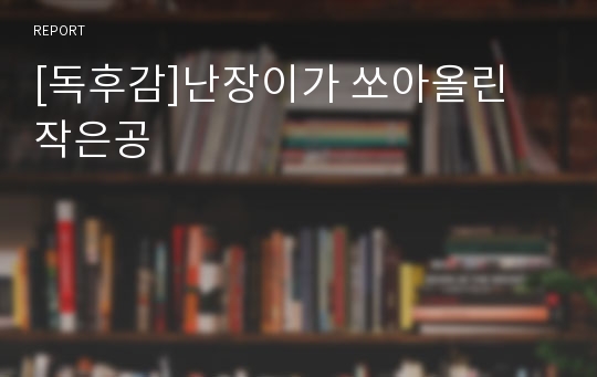 [독후감]난장이가 쏘아올린 작은공