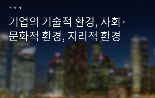 기업의 기술적 환경, 사회·문화적 환경, 지리적 환경