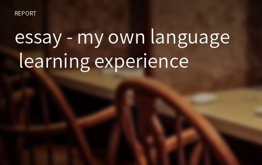 essay - my own language learning experience