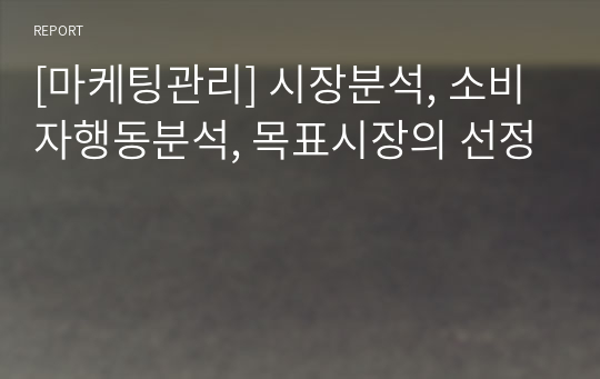 [마케팅관리] 시장분석, 소비자행동분석, 목표시장의 선정