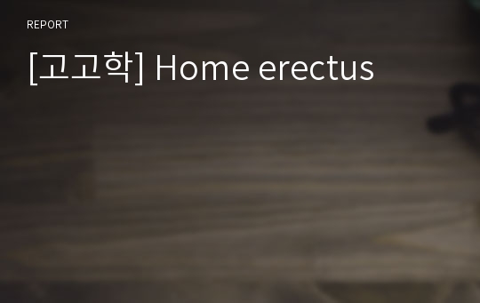 [고고학] Home erectus