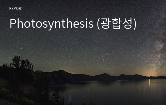 Photosynthesis (광합성)