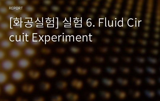 [화공실험] 실험 6. Fluid Circuit Experiment