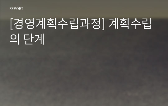 [경영계획수립과정] 계획수립의 단계