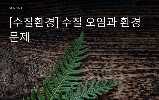 [수질환경] 수질 오염과 환경 문제