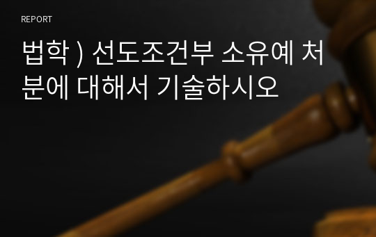 법학 ) 선도조건부 소유예 처분에 대해서 기술하시오