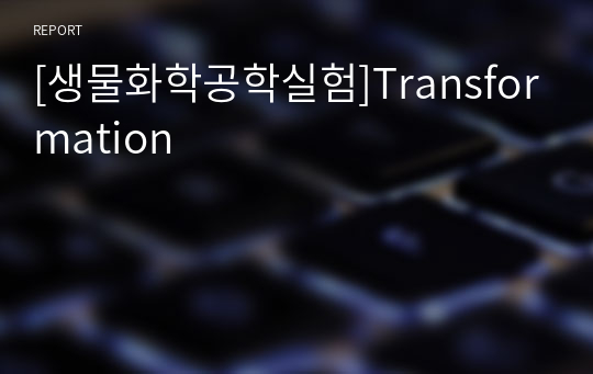 [생물화학공학실험]Transformation