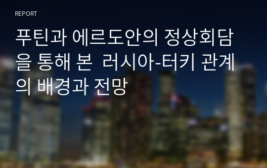 푸틴과 에르도안의 정상회담을 통해 본  러시아-터키 관계의 배경과 전망